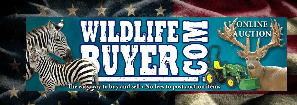 Wildlife Items Starting At Just $790