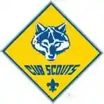 Score Up To 75% On Scholarships At Boy Scout