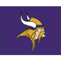 Score Up To 50% On Promotions Minnesota At Vikings